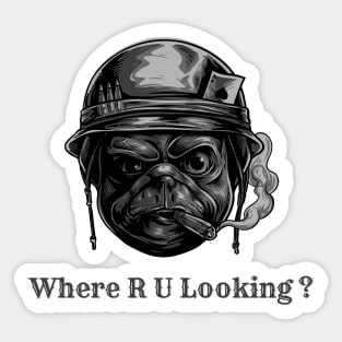 Where are you looking Sticker